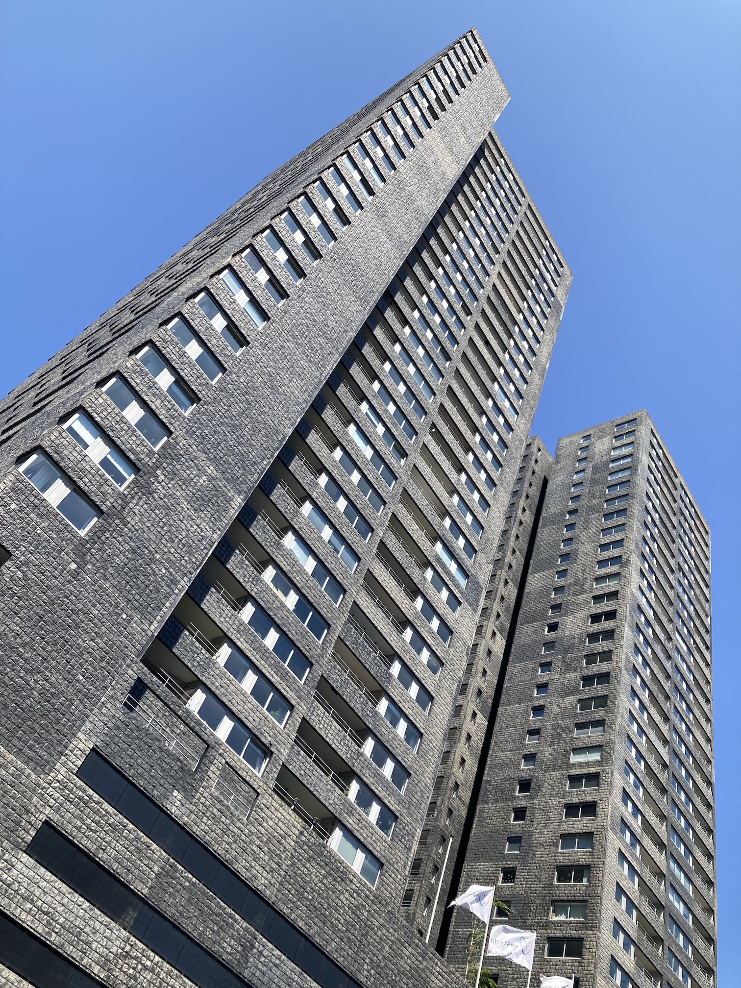 Hoogbouw bij Erasmusbrug